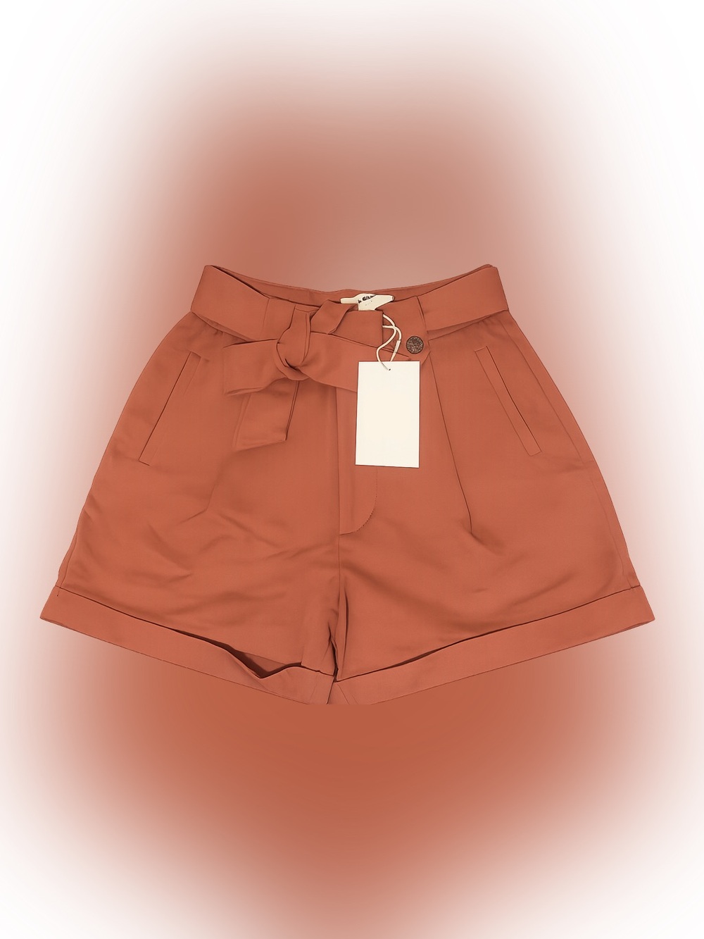 NWT ARTLOVE Paris High Waisted Short - Terracotta Size 26 - Part of a set!!
